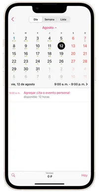 Vista del horario 1
