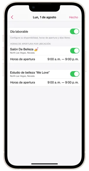 Vista del horario 6