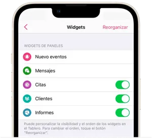 Widgets del tablero 4