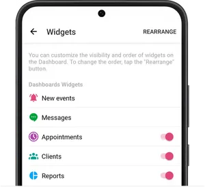 Dashboard Widgets 1