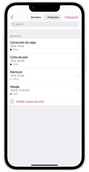 Añadir categoría de servicio 1