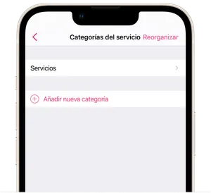 Añadir categoría de servicio 2